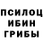 Галлюциногенные грибы мицелий Vasek Rudak