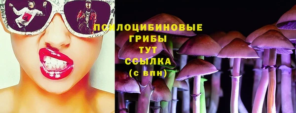 соль ск Сатка