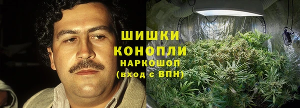 прущая мука Алзамай