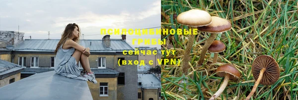 мяу мяу мука Алексин