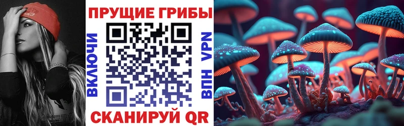 Псилоцибиновые грибы прущие грибы  Николаевск 